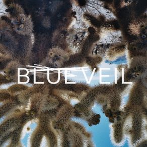 Download track Pleasure Culture Blue Veil