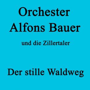 Download track Die Schöne Rosmarie Orchester Alfons Bauer