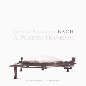 Download track Sonata In B Minor BWV 1030: II. Largo E Dolce Miklos Spanyi, Benedek Csalog