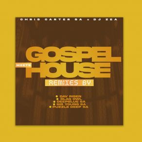 Download track Gospel Meets House (DeepBlue SA Remix) DJ ZeaDeepBlue SA