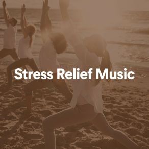 Download track Stress Relief Music, Pt. 7 Anti Stress