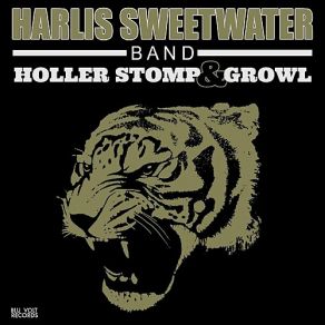 Download track Malvado Stew The Harlis Sweetwater Band