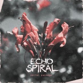 Download track Death Ray Echo Spiral