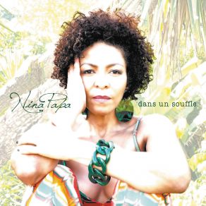 Download track Amazônia Nina Papa