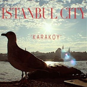 Download track Seagull Sadness With Ambience Istanbul City