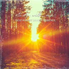 Download track Deep Forest Sunset Ambience, Pt. 3 Sebastian Riegl