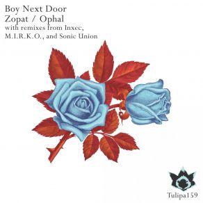 Download track Zopat (Original Mix) Boy Next Door