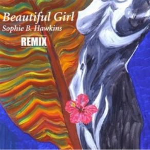 Download track Beautiful Girl (Junior Vasquz Club Mix) Sophie B. Hawkins