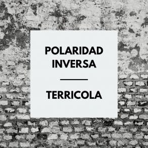 Download track Superficie Polaridad Inversa