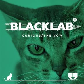 Download track Curious Blacklab