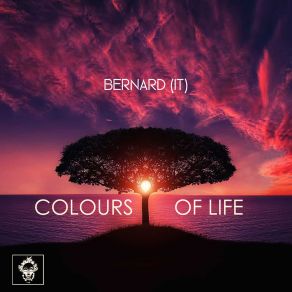 Download track Colours Of Life (Original Mix) Bernard (It)