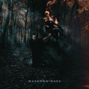 Download track Echoes Halcyon Days