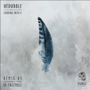 Download track Looking Into (Original Mix) HedUbble