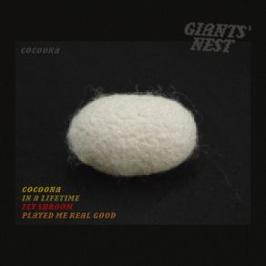 Download track In A Lifetime Giants' Nest