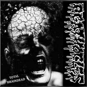 Download track Victim Of Police Disorder, Agathocles