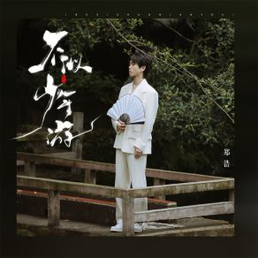 Download track 不似少年游 (伴奏) 郑浩