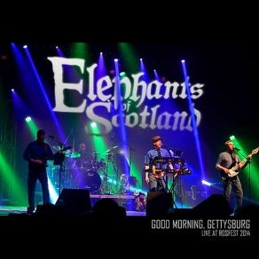 Download track Tfay Elephants Of Scotland