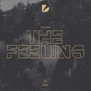 Download track The Feeling Felon