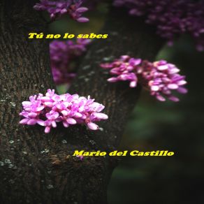 Download track Tú No Lo Sabes (Vers. Orquesta) Mario Del Castillo