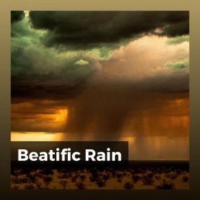 Download track Blessedly Rain, Pt. 12 Yoga Rain