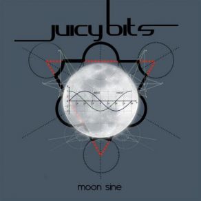 Download track Nasa Playground Juicy Bits