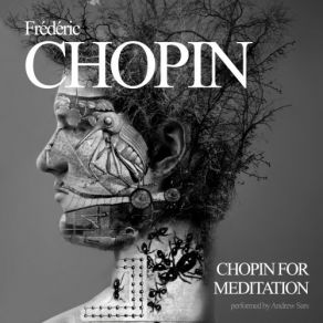 Download track Etude Op. 25 No. 12 In C Minor - 'Ocean' Frédéric Chopin