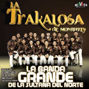 Download track Amor De Marca La Trakalosa De Monterrey