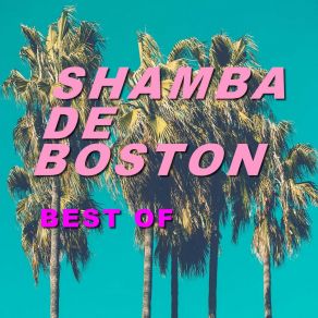 Download track Boycottage Shamba De Boston