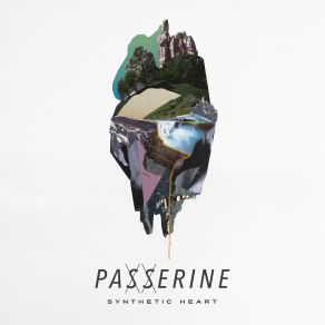 Download track Synthetic Heart Passerine