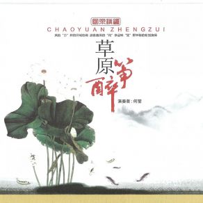 Download track 美丽的神话 He Ying