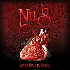 Download track Mint Egyszer Nils