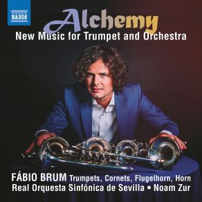 Download track Tokyo Suite: II. Adagio Noam Zur, Fábio Brum, Seville Royal Symphony Orchestra