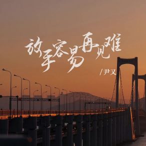 Download track 放手容易再见难 (Dj版伴奏) 尹又南乔