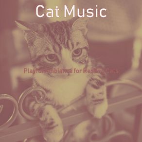 Download track Phenomenal Ambiance For Kittens Cat Music