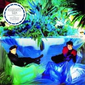 Download track No The Associates