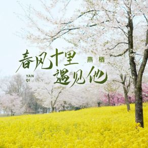 Download track 春风十里遇见他 Yan Qi