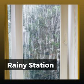 Download track Vividly Rain, Pt. 14 Thunderstorms