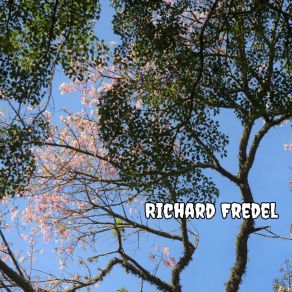 Download track Deine Letzte Chance Richard Fredel