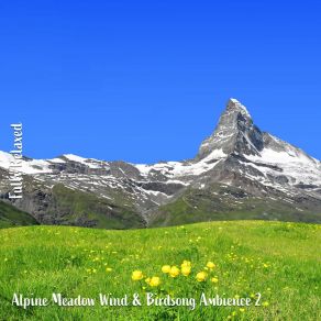 Download track Alpine Meadow Wind & Birdsong Ambience, Pt. 3 Steve Brassel