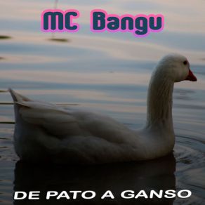 Download track Boy From Rio MC Bangu