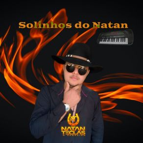 Download track Solinho Flautinha Do Forrozinho Natan Teclas O Vaqueiro