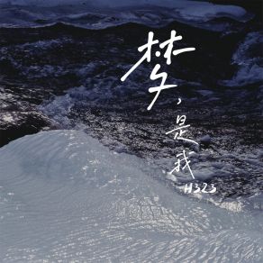 Download track 梦，是我 (伴奏) H323