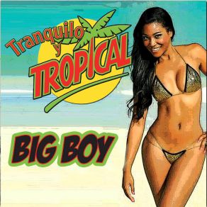 Download track Mis Ojos Lloran Por Ti Big Boy