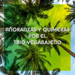 Download track Pedacito De Borinquen Trio Vegabajeño