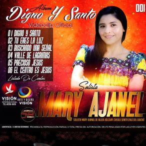 Download track Buscando Una Señal Mary Ajanel