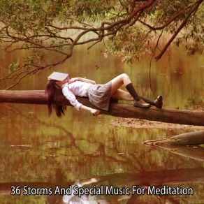 Download track Precious Monsoon Rain Sounds