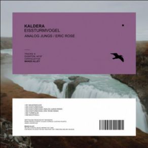 Download track Eissturmvogel (Analog Jungs Remix) Kaldera