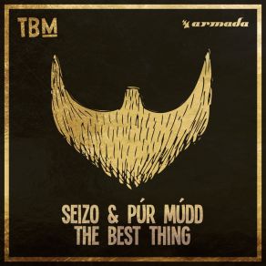 Download track The Best Thing (Extended Mix) Púr Múdd