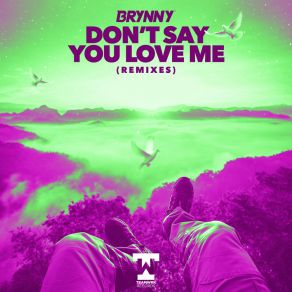 Download track Don't Say You Love Me (Theis EZ Remix) Brynny