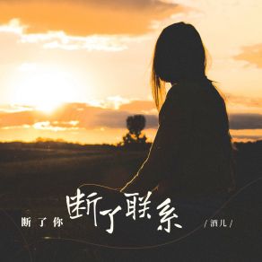 Download track 断了你断了联系 酒儿